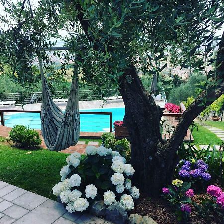 Villa L'Uliveta 몬테카티니테르메 외부 사진