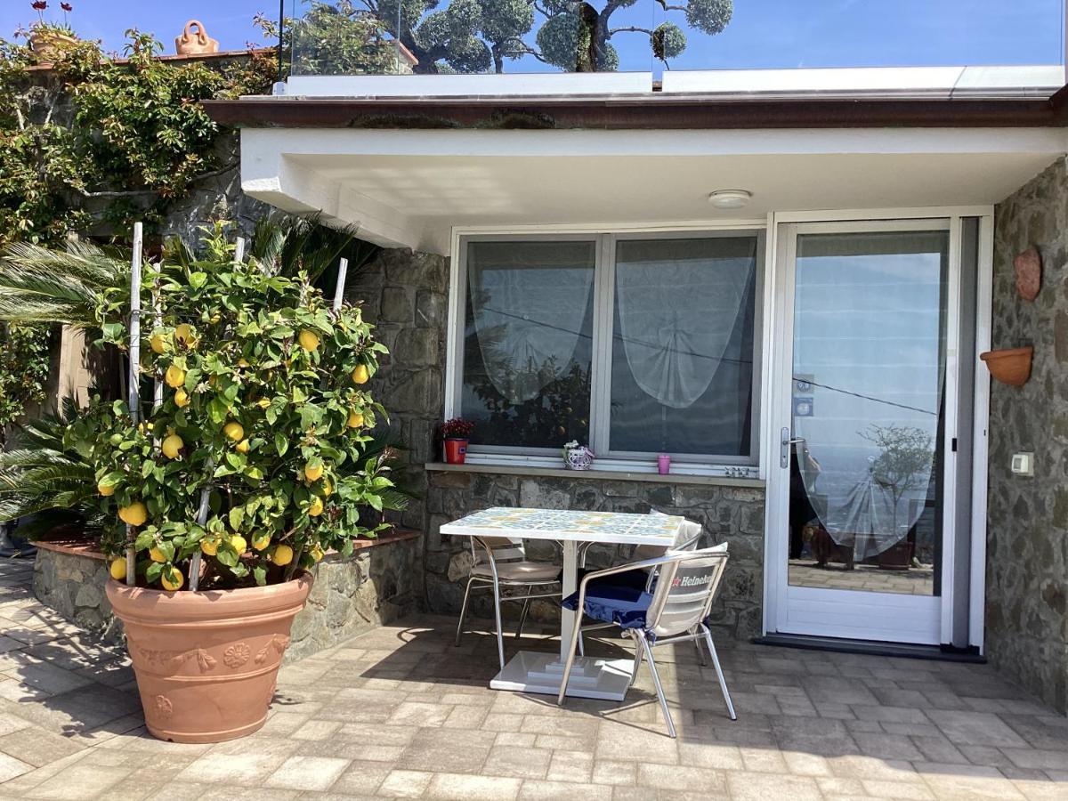 Villa L'Uliveta 몬테카티니테르메 외부 사진